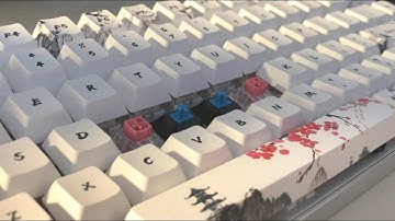 Kailh BOX Clicks (White/Pink/Jade/Navy) vs. Cherry MX Blue Switches
