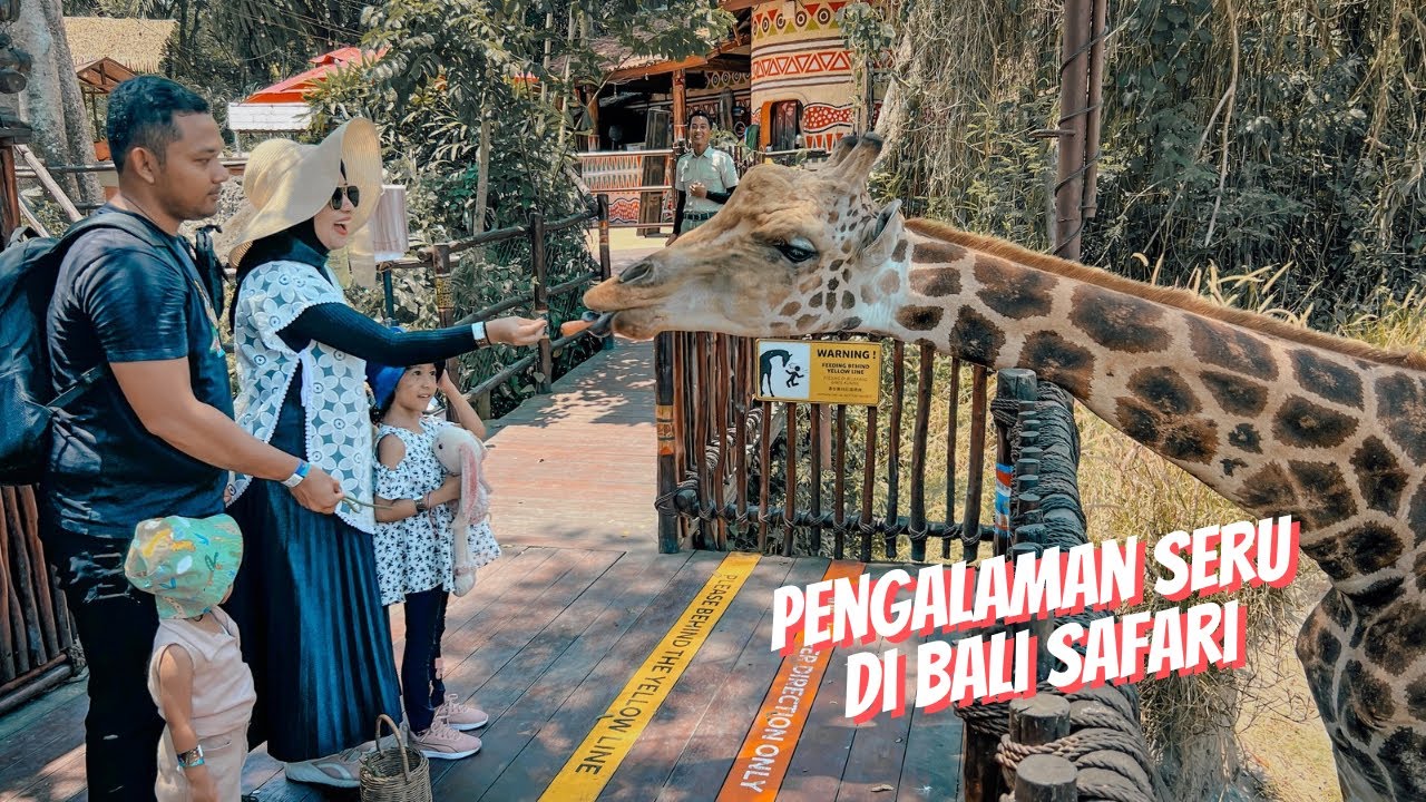 Melihat satwa yang ada di Bali | Bali Safari and Marine Park - YouTube