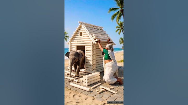दादी और हाथी का बच्चा लकड़ी से एक घर बनाते हैं।  #Grandmother #house #Babyelephant #Wood #Shorts