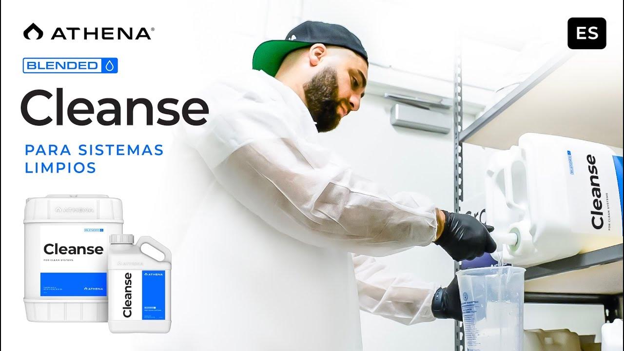 Athena Cleanse YouTube