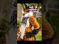 The Reason why I'm Scared of furries...