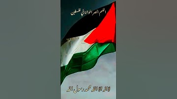 فقاتلوا أولياء الشيطان _ تلاوة عطرة محمد اللحيدان _القران شفاء للصدور_ اللهم انصر اخواننا في فلسطين