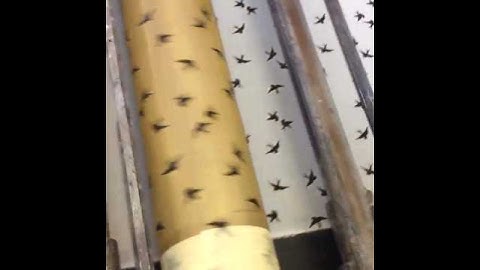 Textile industry! textile printing machine roller Printing machine@FACTHUB0012 #industry