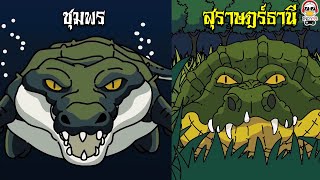 จระเข้กินคนชุมพร vs จระเข้กินคนสุราษฎร์ธานี