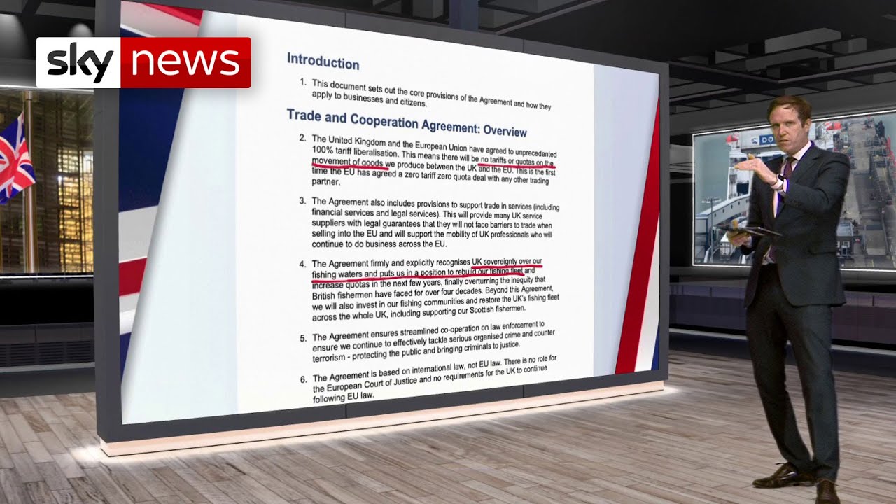 Film backdrop image for What's in the Brexit trade deal? (2020)