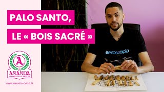 Palo Santo, Le Bois Sacré Pour La Purification