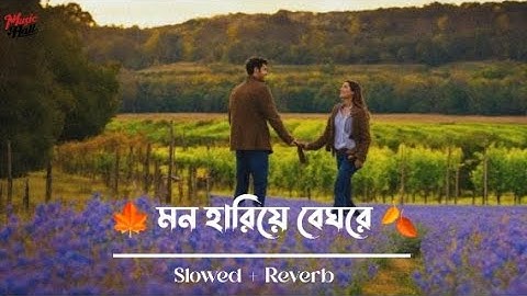 Mon Hariye Beghore 🍁🍂| Shedin Dekha Hoyechilo | Dev | Srabanti | Mohit Chauhan | Jeet Gannguli | SVF