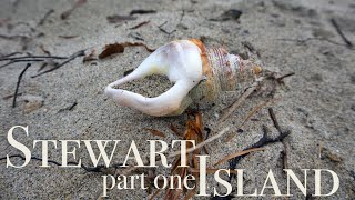 Stewart Island - part one