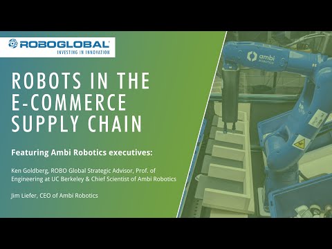 Robots in the E-commerce Supply Chain