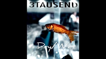 3TAUSEND - Dry/Wet