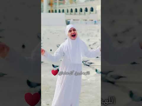 يا طير يا طاير على الحرمين