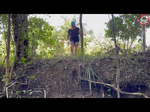 Vídeo: Qual nora não ama uma sogra