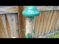 Natures way squirrel proof bird feeder  carls testimonial