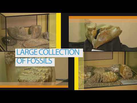 Video: Descrierea și fotografiile Muzeului de mineralogie și paleontologie - Grecia: Ialyssos - Ixia (Rodos)
