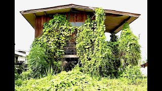 อำเภอกุยบุรี Kui Buri — abandoned house (2/2)