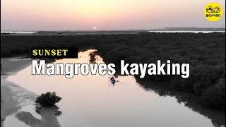 Mangrove Village Adventures - Doha bus