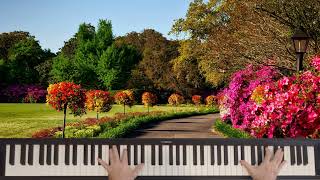 Secret Garden - Song From A Secret Garden - Piano Cover