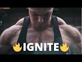 Andrei deiu   ignite  fitness motivation