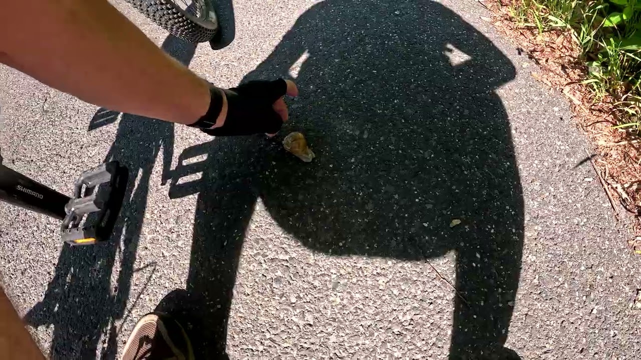 Májusi élmény tekerés