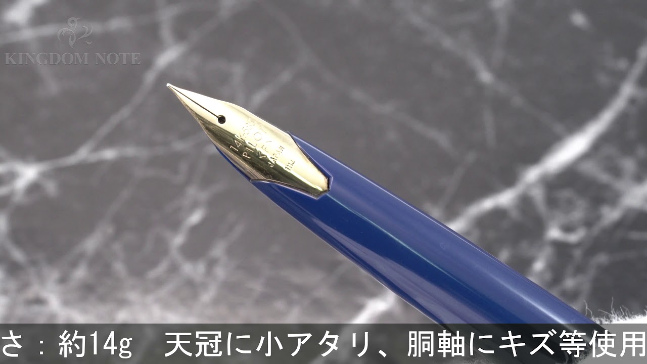 PILOT パイロット 万年筆 株主限定 エリート95S ディープブルー 細字