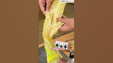 Sugarcane Juice Machine | Ganne ke rass ka Machine | Sherdi no rass | Sugarcane machine #shorts