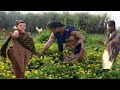 Village Life In Pakistan | Impressive Village Life In Punjab | Daily Routine Work In Village Life..