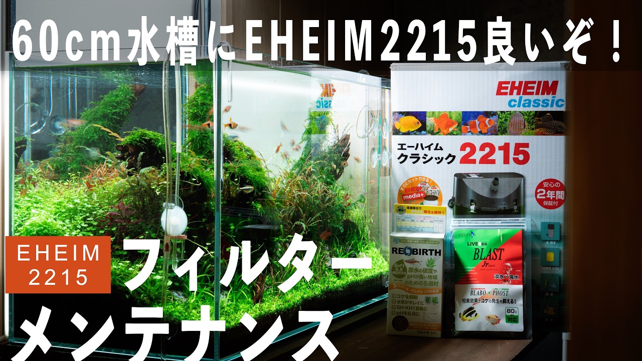 ｱｸｱﾘｳﾑ】もう2213には戻れない!?管理が圧倒的に楽になったエーハイム