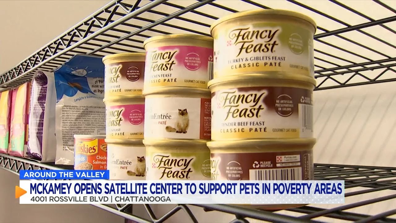 McKamey Animal Center opens satellite center to support pets in poverty areas