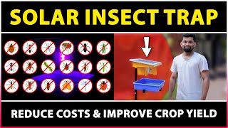 Solar Light Insect Trap | Best Solar Pest Control Device for Agriculture