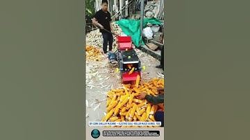 DIY Electric Dual Roller Corn Sheller Machine Fast Kernel Tool