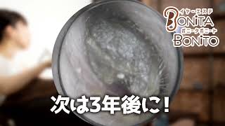 耳掃除 次は3年後に!