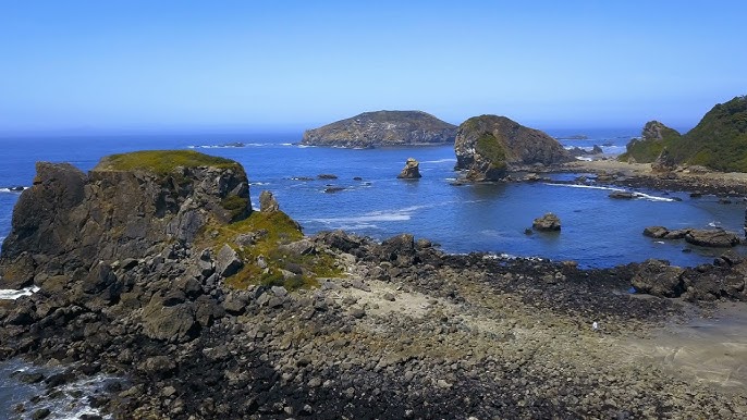 Brookings