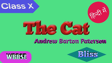 The Cat by Andrew Barton Paterson in Hindi। The Cat Class X in Hindi । The Cat हिन्दी में