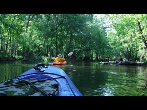 Kayak Trip - Morris Bridge to Sargeant Park on the Hillsborough River @crixus1032