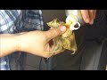 End of video