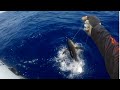 Monster fish on hand line nearly ripped my arm off! (Tuvalu, Funafuti)