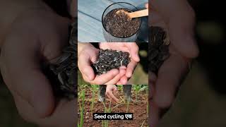 Top 5 seeds Benefits || seeds superfood superfoodnutrition