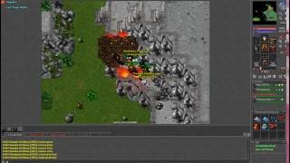 Tibia - Matando hunted