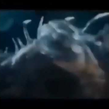 venom versi acumalaka #shorts#meme#tiktok#fyp#tiktokfyp#fy#fypシ#lol#indonesia#chanel