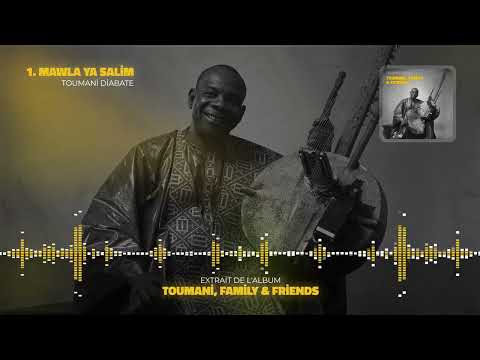 Toumani Diabaté -