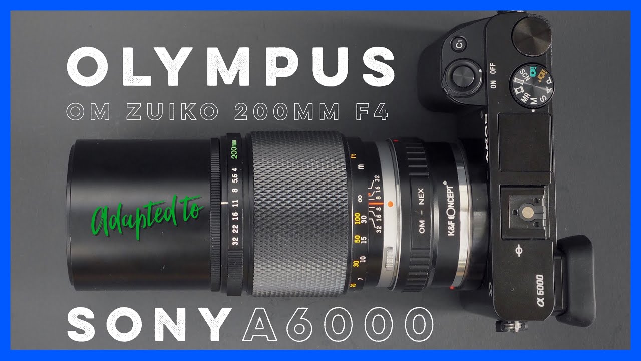 Olympus Zuiko 200mm f4 Adapted to the Sony A6000