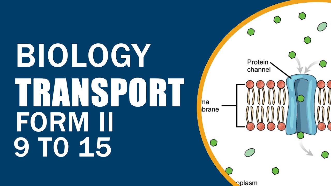 BIOLOGY FORM TWO TRANSPORT 9 TO 15 - YouTube