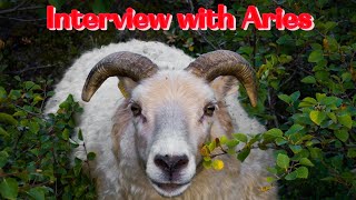 Interview with Aries
Welcome. This was a project I was working on about a year ago that I decided to finally edit and share with you. Definitely in the style of Cosmopolitan LMAO. It was in the second video, which I have not edited or uploaded yet, that I realized that I wasn’t proving anything concerning the differences between true sidereal and western astrology. If anything, I just prove to myself that the only label we as humans truly except are the ones that validate us. And what validates us is what we resonate with. And that entirely depends on how we see ourselves. and honestly that is all that matters. I know why I prefer true sidereal. I know I am a rebel lol I prefer the labels that I put on myself for whatever reason that may be over any label that someone else could put on me. And no matter what you prefer., allowing any system to box you in as a way of validating how you see yourself may not allow you the growth that you may seek. This video is entirely for entertainment purposes only. ENJOY 😉 here is a link to a video that explains true sidereal astrology: https://youtu.be/swif-978SmE?si=Hy3HH8HurvFirKYU @ladyknightofavalon and here is another one: https://youtu.be/Sm2sp5L6BKY?si=s5CIhfyVxN9bI7PD @AmethystAscensionTarot I personally want to thank Zack @TheTigersAbyss for humoring me and participating in this superficial quiz lol. And if you have not had a true sidereal astrology reading from my sister Rachele, from @AmethystAscensionTarot, I 200% recommend having one done! Here is a link for one of the options from her Kofi shop https://ko-fi.com/s/1beac7b671. I also recommend my friend Maria from, @ladyknightofavalon , for her specialty readings if you are interested, here is a link to her Kofi shop: https://ko-fi.com/ladyknight/shop and of course, if you’re interested in connecting with me, here are my links: 🌌 Connect with me for personal readings & mystical offerings:
💜 Facebook: Misscoolala’s Mystical Readings: https://www.facebook.com/profile.php?id=100093852044259
📱 TikTok: @Misscoolala: https://www.tiktok.com/@misscoolala?_t=ZP-8uOumAyEGFj&_r=1
☕ Buy me a coffee or book a reading: Ko-fi Shop: https://ko-fi.com/carlalancaster12736 chapters 00:00 Intro 05:27 Zack 15:42 Brittany 21:56 Closing thoughts PLEASE NOTE: THE BODY OF THE INTERVIEW WAS EDITED OVER A YEAR AGO. Hopefully my editing skills are improving 🤣 Interview with Aries