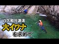 【八久和源流釣り①】大イワナうじゃうじゃ！源流マン憧れの渓へ挑む！！【三泊四日/Day1-Day2】