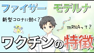 【ｍRNAワクチン】どのような作用で新型コロナウイルスの感染を防ぐのか？【薬剤師がゆっくり解説】