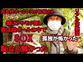 元ホームレスの女性の方にお話を聞きました、恥を捨ててシケモク拾った、段ボールハウスで愛を育んだ・・・・