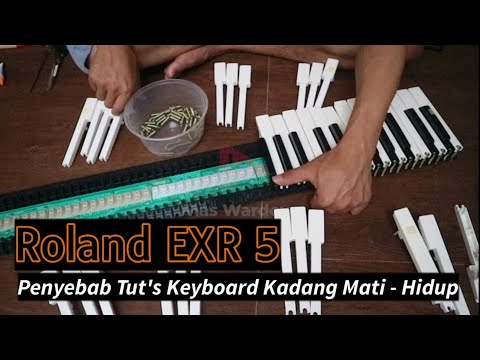 Cara Mudah Memperbaiki Tuts Keyboard Yang Rusak | ROLAND EXR 5 @MasWardoyo23