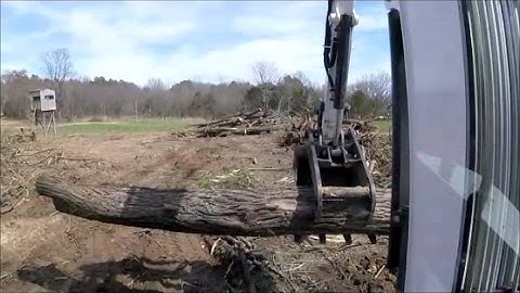 Bobcat E42 Excavator Pushing Over Big Locust & Sorting logs