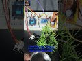 Smart Plant Water Monitoring System