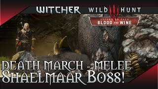 The Witcher 3 Blood and Wine - Shaelmaar Boss Fight Death March - Melee Hybrid Build